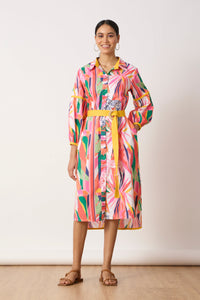 Erin Shirt Dress